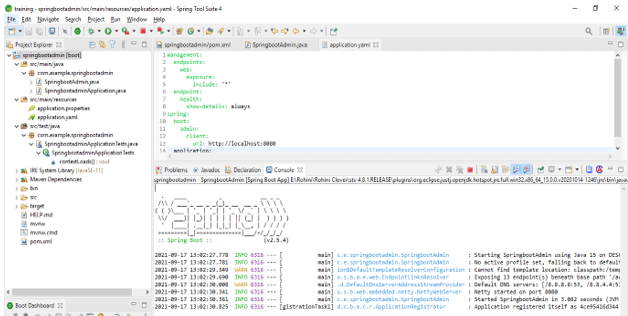 Spring Boot Admin image 4