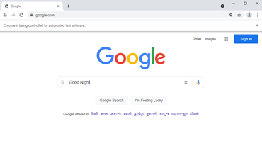 selenium find element output 2