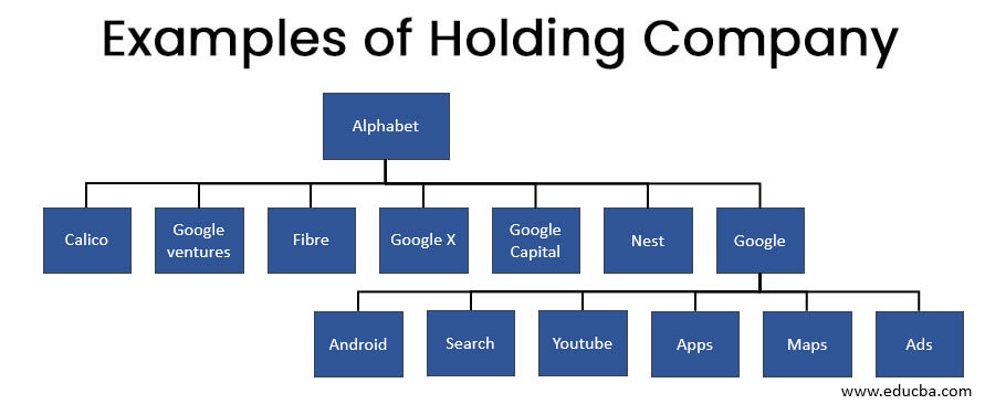 Examples-of-Holding-Company-