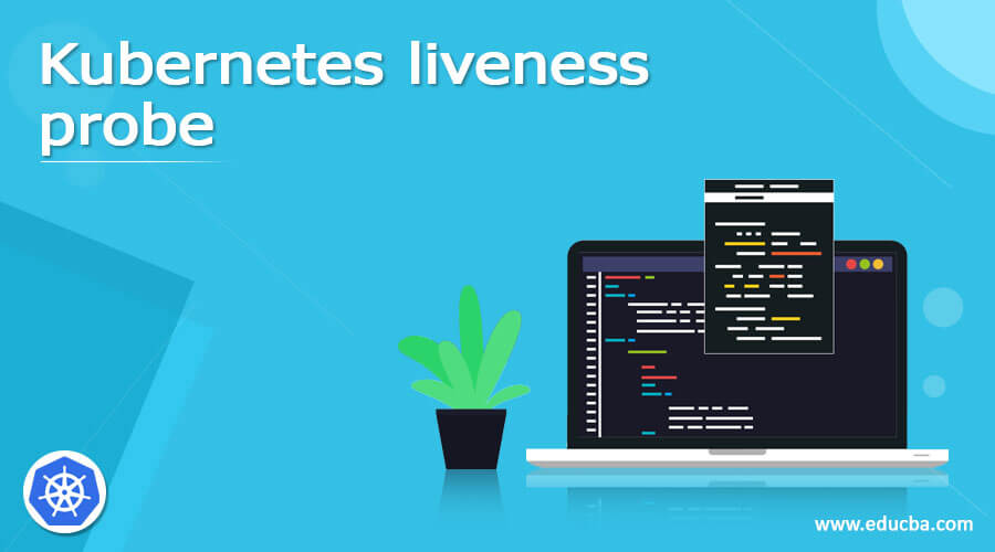 Kubernetes liveness probe