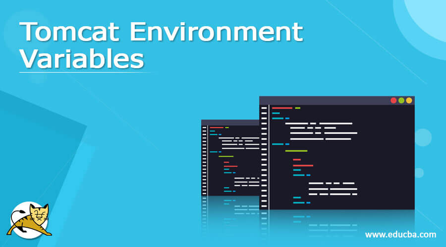 Tomcat Environment Variables