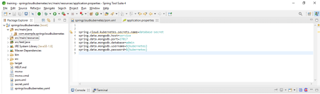 Spring Cloud Kubernetes 11