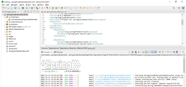 Spring Cloud Kubernetes 12