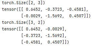 PyTorch permute output 2