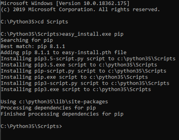 PyTorch pip output 1