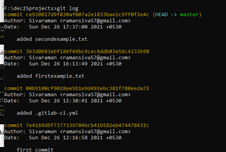 GitLab Branch Protection output 8
