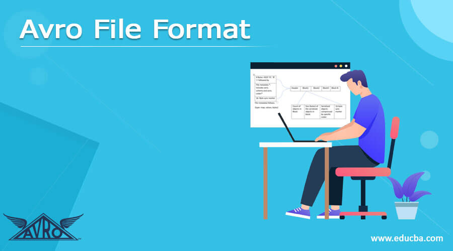 Avro File Format