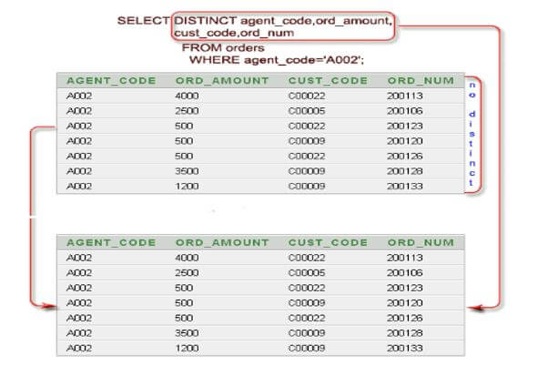 SQL SELECT DISTINCT Multiple Columns 16JPG