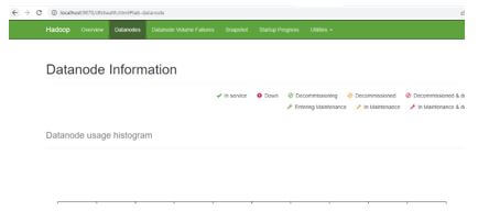 Hadoop Distributed File System (HDFS) 2