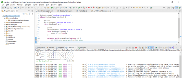 JUnit 5 Assert - assertTrue method of the class of assertion