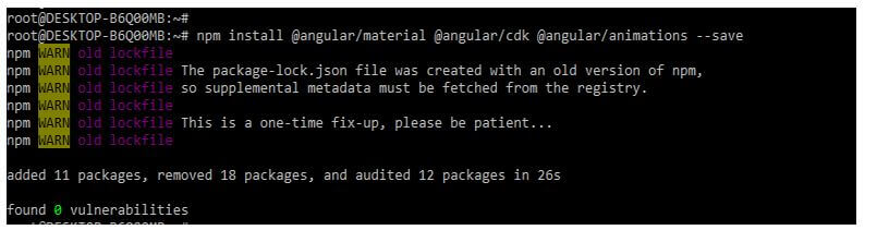 installing packages by using the npm command
