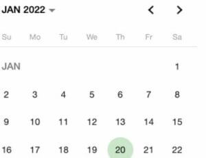 Angular Material Calendar 12