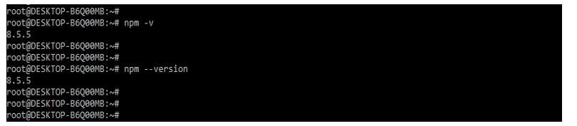 check installed version of npm package using npm –v