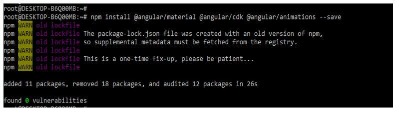installing packages by using the npm command