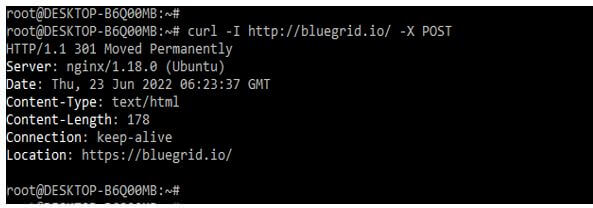 executing the curl command on the bluegrid.io URL