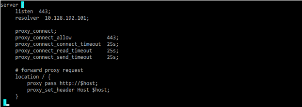 Nginx Forward Proxy ggrtr