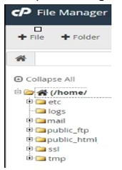 File Manager