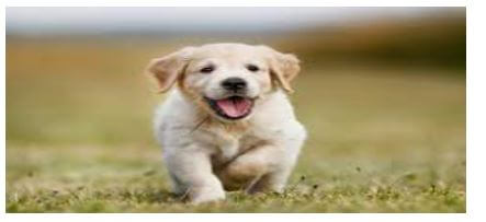 see this after running the project