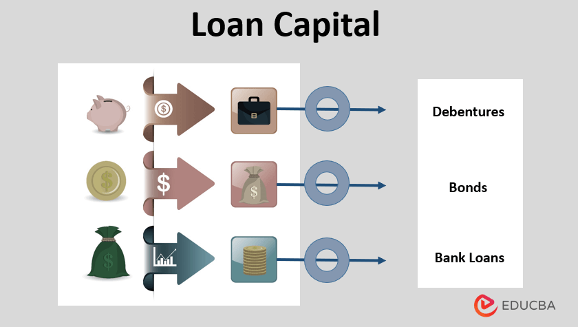 Loan Capital