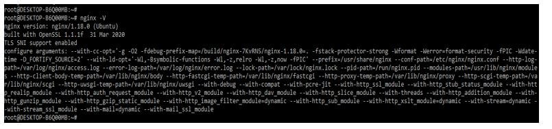 check the nginx installed version