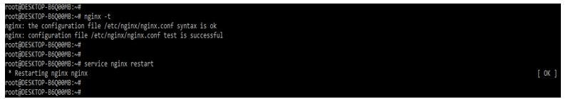 rebooting the nginx server