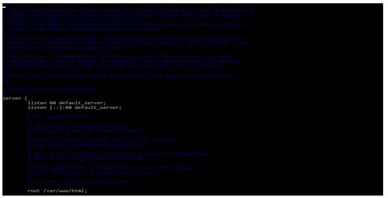server block file into the directory of nginx