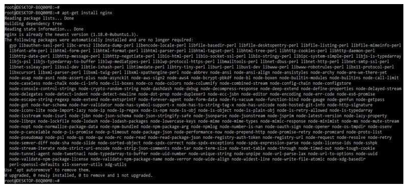 installing the nginx server by using the apt-get command