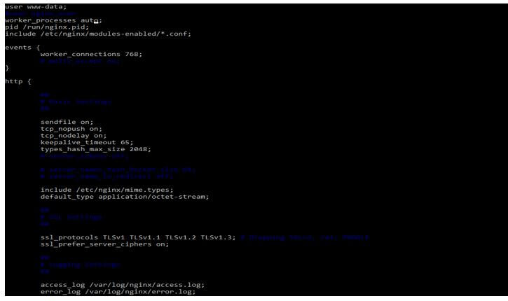 nginx configuration file using the vi command