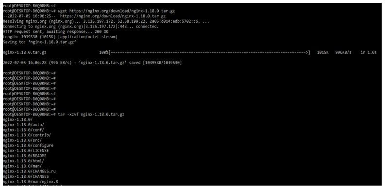downloading and extracting the nginx package