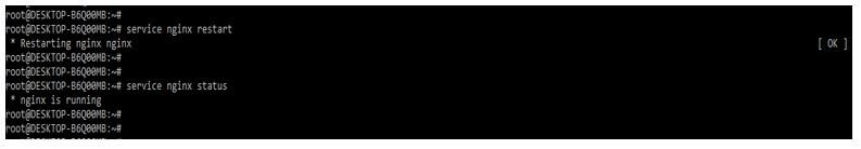 Restart the nginx server