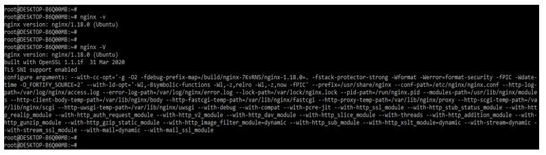 nginx –V command