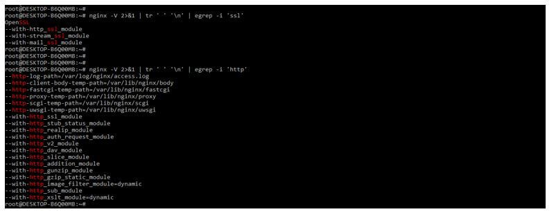 nginx modules related to the SSL and http
