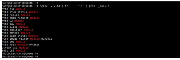 nginx modules installed on our nginx server