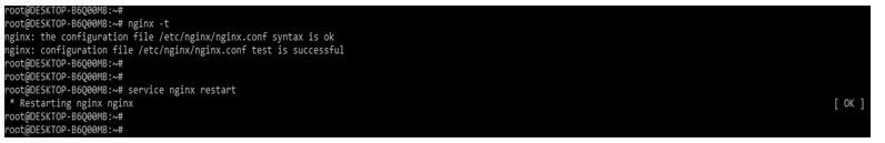 execute the nginx –t command