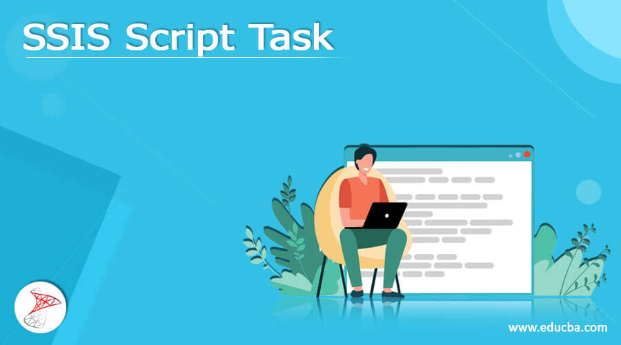 SSIS Script Task