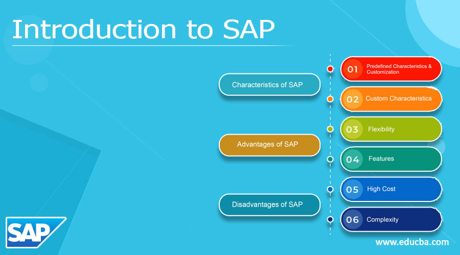 Introduction to SAP