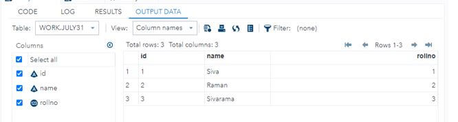 design the model columns for the SAS dataset