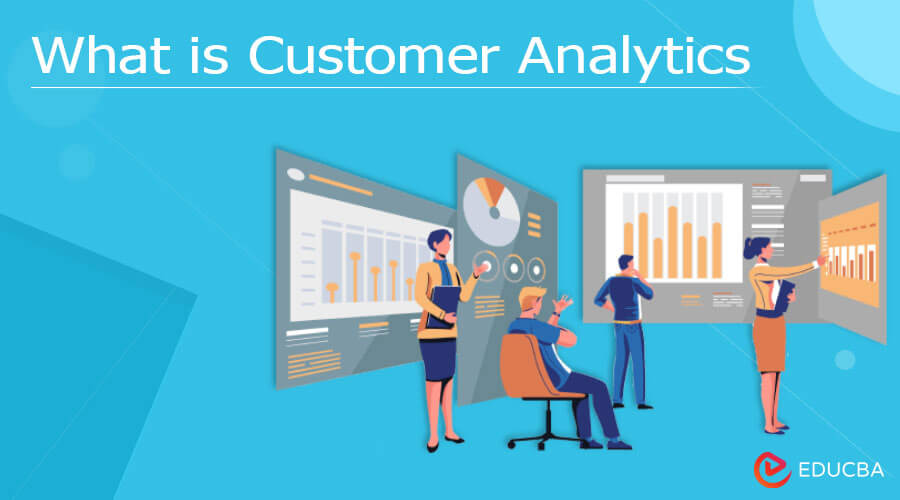 What is Customer Analytics