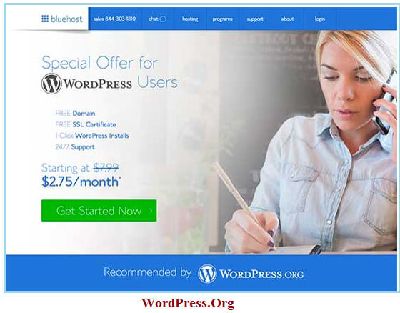 WordPress Website 2