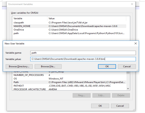 Maven Environment Variables 11