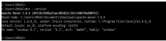Maven Environment Variables 12