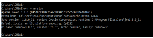 Maven Environment Variables 6