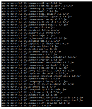 Maven Environment Variables 9