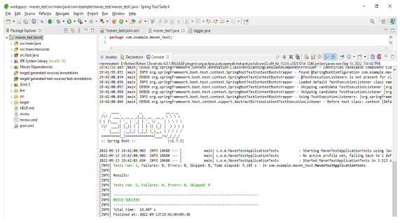 Maven Run Single Test 10