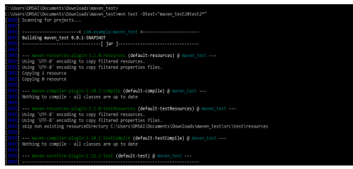 Maven Run Single Test 17