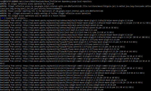 Maven force update 2-1