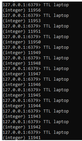 Redis TTL 6