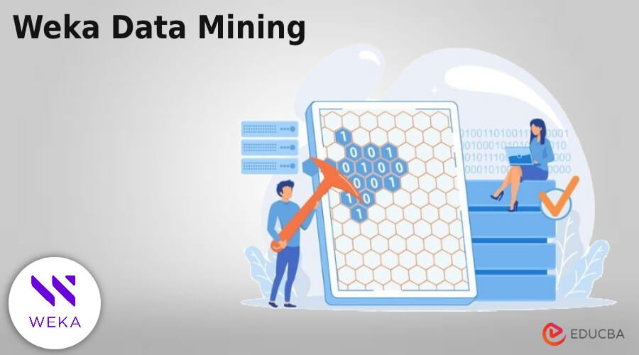 Weka Data Mining