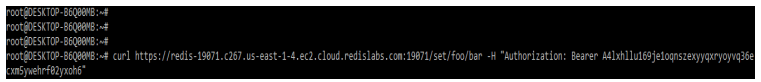 Redis API URL