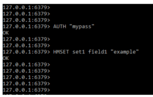 executing redis command